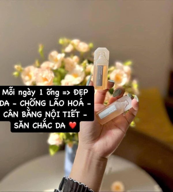 Nhau thai ngựa Melsmon