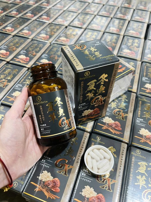 Siêu Phẩm Đông Trùng TOCHUKASOU GX REIPERFECT bồi bổ sức khoẻ- tăng cường sinh lục